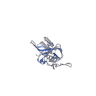 22199_6xis_C_v1-0
Cryo-EM structure of the G protein-gated inward rectifier K+ channel GIRK2 (Kir3.2) in apo form