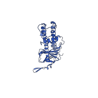 22200_6xit_A_v1-0
Cryo-EM structure of the G protein-gated inward rectifier K+ channel GIRK2 (Kir3.2) in complex with PIP2