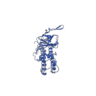 22200_6xit_D_v1-0
Cryo-EM structure of the G protein-gated inward rectifier K+ channel GIRK2 (Kir3.2) in complex with PIP2
