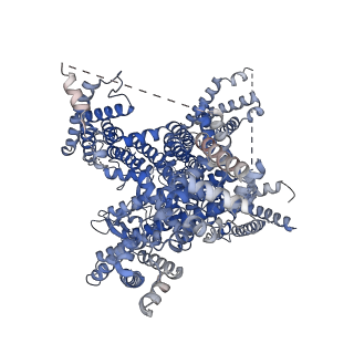 22203_6xiw_A_v1-2
Cryo-EM structure of the sodium leak channel NALCN-FAM155A complex