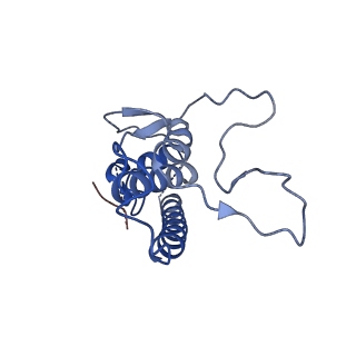 22203_6xiw_B_v1-2
Cryo-EM structure of the sodium leak channel NALCN-FAM155A complex