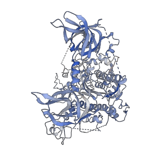 33200_7xi9_A_v1-1
Cryo-EM structure of human DNMT1 (aa:351-1616) in complex with ubiquitinated H3 and hemimethylated DNA analog (CXXC-ordered form)