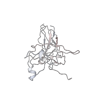 22204_6xja_A_v1-0
Streptococcus Pneumoniae IgA1 Protease with IgA1 substrate