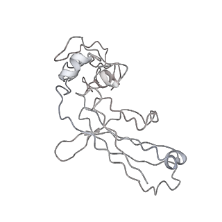 22204_6xja_B_v1-0
Streptococcus Pneumoniae IgA1 Protease with IgA1 substrate