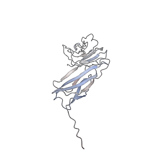 22204_6xja_H_v1-0
Streptococcus Pneumoniae IgA1 Protease with IgA1 substrate
