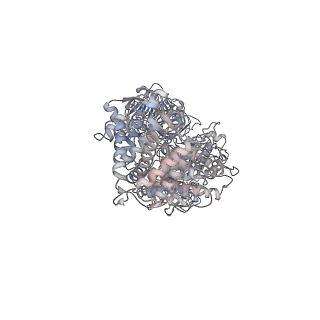 22204_6xja_P_v1-0
Streptococcus Pneumoniae IgA1 Protease with IgA1 substrate