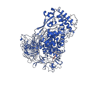 22205_6xjb_A_v1-0
IgA1 Protease