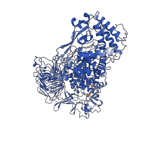 22205_6xjb_A_v1-1
IgA1 Protease