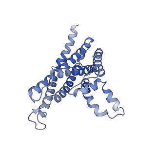 22210_6xjh_A_v1-1
PmtCD ABC exporter without the basket domain at C2 symmetry