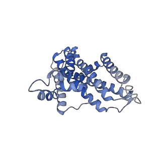 22210_6xjh_B_v1-1
PmtCD ABC exporter without the basket domain at C2 symmetry