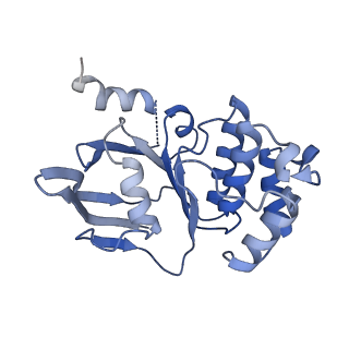 22210_6xjh_D_v1-1
PmtCD ABC exporter without the basket domain at C2 symmetry