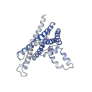 22211_6xji_A_v1-1
PmtCD ABC exporter at C1 symmetry