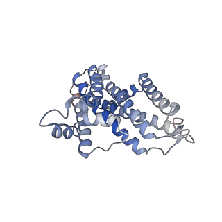 22211_6xji_B_v1-1
PmtCD ABC exporter at C1 symmetry