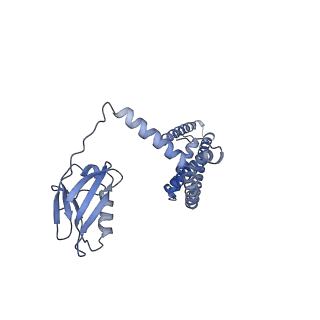 22215_6xjv_A_v1-3
MCU holocomplex in High-calcium state