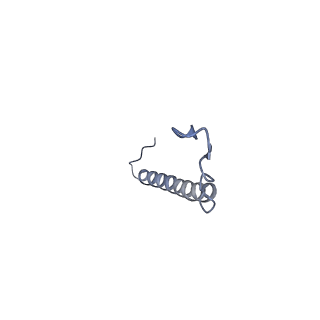 22215_6xjv_B_v1-3
MCU holocomplex in High-calcium state