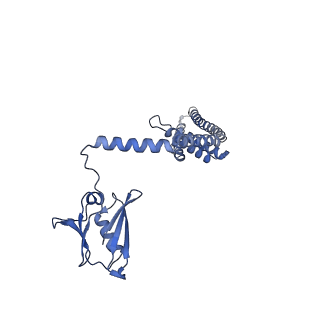 22215_6xjv_C_v1-3
MCU holocomplex in High-calcium state