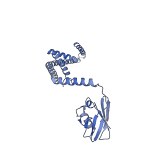 22215_6xjv_E_v1-3
MCU holocomplex in High-calcium state