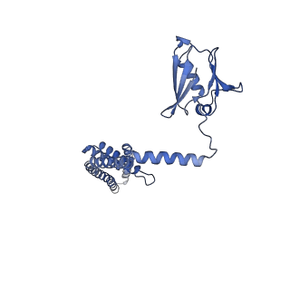 22215_6xjv_K_v1-3
MCU holocomplex in High-calcium state