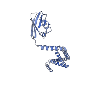 22215_6xjv_M_v1-3
MCU holocomplex in High-calcium state