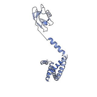 22215_6xjv_O_v1-3
MCU holocomplex in High-calcium state