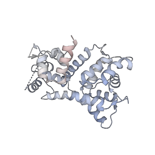 22215_6xjv_Q_v1-3
MCU holocomplex in High-calcium state