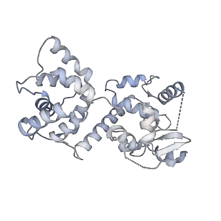 22215_6xjv_R_v1-3
MCU holocomplex in High-calcium state