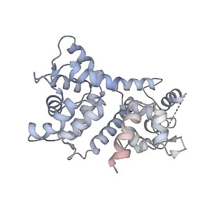 22215_6xjv_S_v1-3
MCU holocomplex in High-calcium state