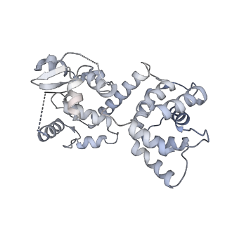 22215_6xjv_T_v1-3
MCU holocomplex in High-calcium state