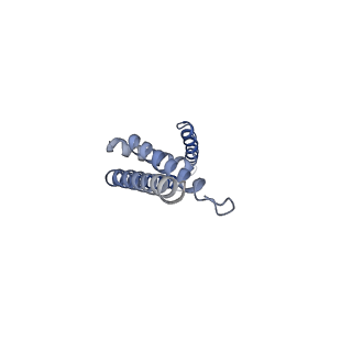 22216_6xjx_C_v1-3
MCU holocomplex in Low-calcium blocking state