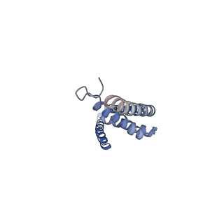 22216_6xjx_E_v1-3
MCU holocomplex in Low-calcium blocking state