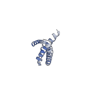 22216_6xjx_G_v1-3
MCU holocomplex in Low-calcium blocking state