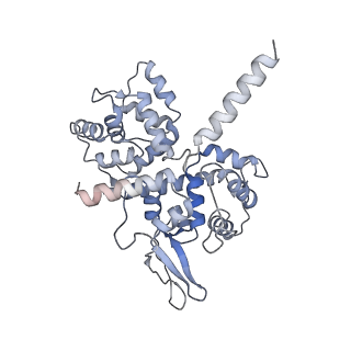 22216_6xjx_Q_v1-3
MCU holocomplex in Low-calcium blocking state