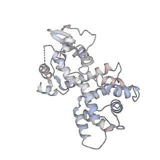 22216_6xjx_R_v1-3
MCU holocomplex in Low-calcium blocking state