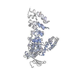 33214_7xj0_A_v1-2
Structure of human TRPV3 in complex with Trpvicin