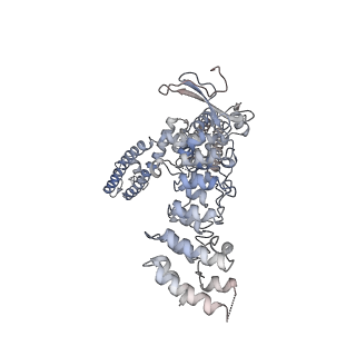 33214_7xj0_C_v1-2
Structure of human TRPV3 in complex with Trpvicin
