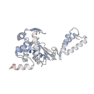 33226_7xjg_A_v1-0
Cryo-EM structure of E.coli retron-Ec86 in complex with its effector at 2.5 angstrom