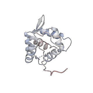 33226_7xjg_C_v1-0
Cryo-EM structure of E.coli retron-Ec86 in complex with its effector at 2.5 angstrom