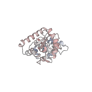 33226_7xjg_J_v1-0
Cryo-EM structure of E.coli retron-Ec86 in complex with its effector at 2.5 angstrom