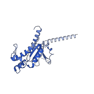 33227_7xjh_A_v1-1
Isoproterenol-activated dog beta3 adrenergic receptor