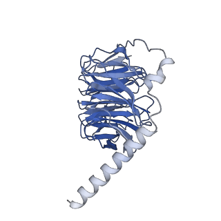 33227_7xjh_B_v1-1
Isoproterenol-activated dog beta3 adrenergic receptor