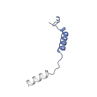 33227_7xjh_G_v1-1
Isoproterenol-activated dog beta3 adrenergic receptor