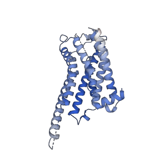 33227_7xjh_R_v1-1
Isoproterenol-activated dog beta3 adrenergic receptor