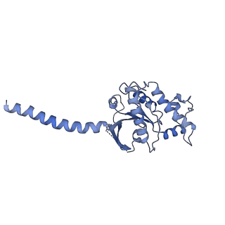 33228_7xji_A_v1-1
Solabegron-activated dog beta3 adrenergic receptor