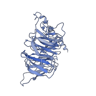 33228_7xji_B_v1-1
Solabegron-activated dog beta3 adrenergic receptor