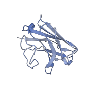 33228_7xji_N_v1-1
Solabegron-activated dog beta3 adrenergic receptor
