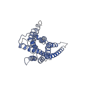 33228_7xji_R_v1-1
Solabegron-activated dog beta3 adrenergic receptor