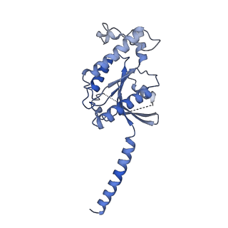 33230_7xjk_B_v1-0
Cryo-EM structure of the galanin-bound GALR2-miniGq complex