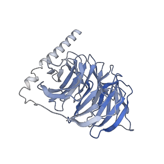 33230_7xjk_C_v1-0
Cryo-EM structure of the galanin-bound GALR2-miniGq complex