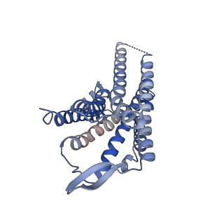 33230_7xjk_F_v1-0
Cryo-EM structure of the galanin-bound GALR2-miniGq complex