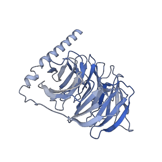 33231_7xjl_C_v1-0
Cryo-EM structure of the spexin-bound GALR2-miniGq complex